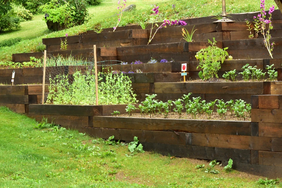 Jardin paysager avec sentier en traverses de bois et galets blancs serpentant entre massifs végétaux
